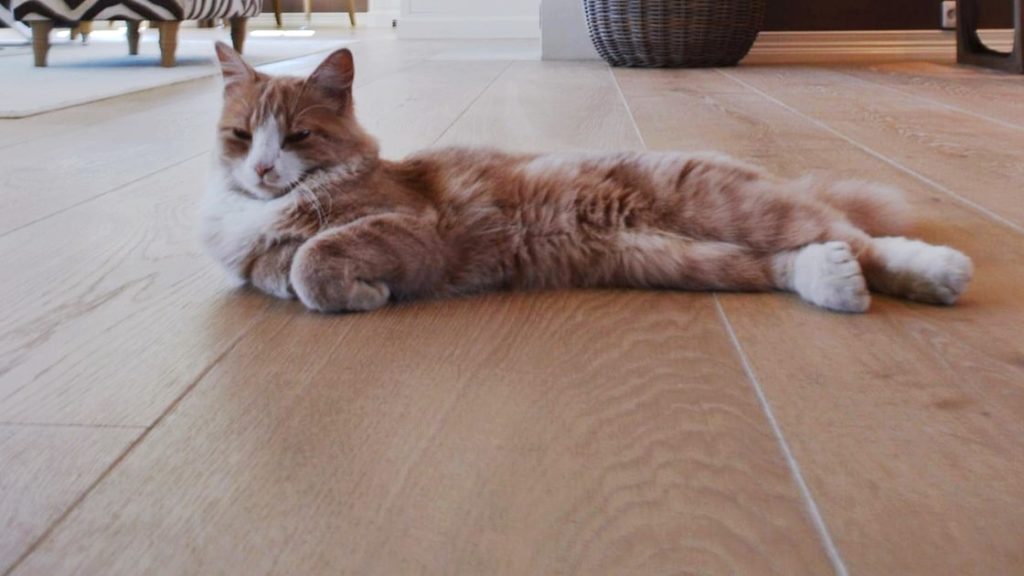 Удаление воздуха из теплого пола - как удалить воздух из системы пола?