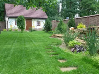 Рекомендации по созданию красивого и ухоженного участка с зелеными насаждениями