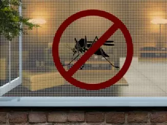 Москитные сетки для защиты дома от насекомых и улучшения комфортного проживания